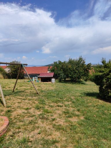 grand terrain de la pension canine familiale pour que les chiens courrent