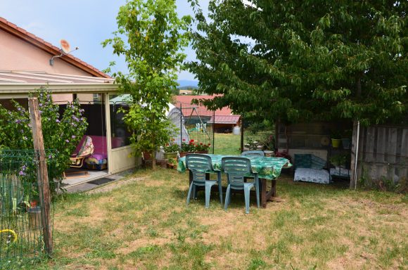 grand terrain de la pension familiale pour que les chiens s'ébattent